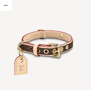 Baxter Louis Vuitton collar